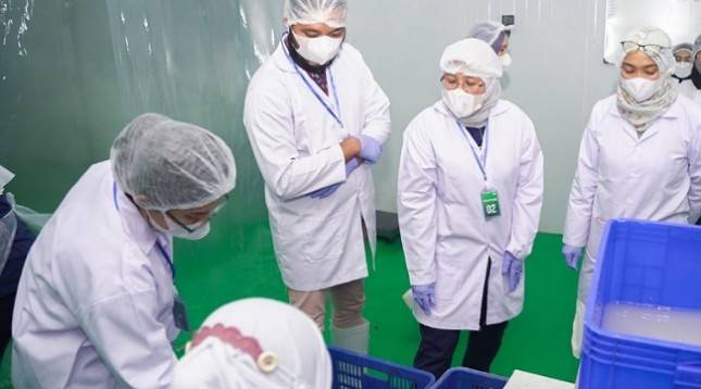 Catat! Ini Langkah Kemenperin Bawa Singkong Beku Indonesia Mendunia