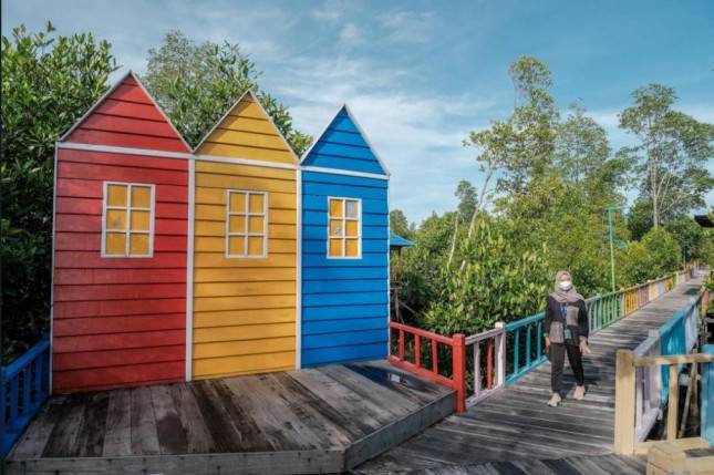  Ini Dia Taman Wisata Mangrove Klawalu Pertama di Tanah Papua