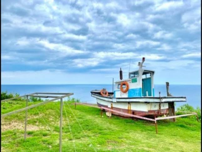 Berwisata  Korea? Ini Tujuh Lokasi Syuting Hometown Cha Cha Cha yang Wajib Anda Kunjungi  