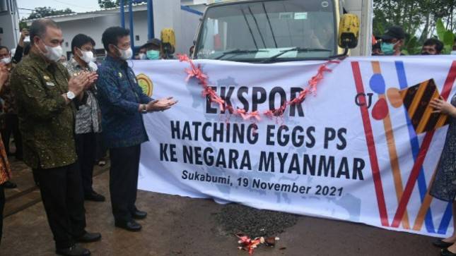 Mentan SYL  Lepas Ekspor Telur Tetas Ke Myanmar