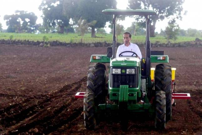Tunggangi Traktor, Jokowi Gaspol Tanam Jagung! Publik: Luar biasa, Bravo Pak Presiden...