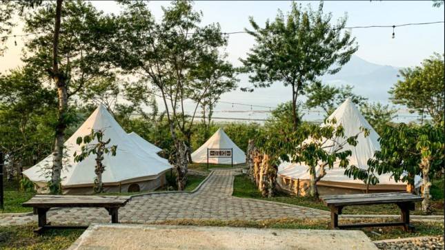 Kampoeng Kopi Banaran Gelar 3 Event Menarik, Ada Konser Musik di Tengah Kebun Kopi