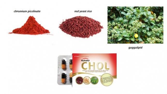 Pentingnya Uji Klinik Pada Produk Herbal