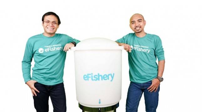 Dahsyat! eFishery Raih Pendanaan Capai US$ 90 Juta dari Temasek Hingga Softbank