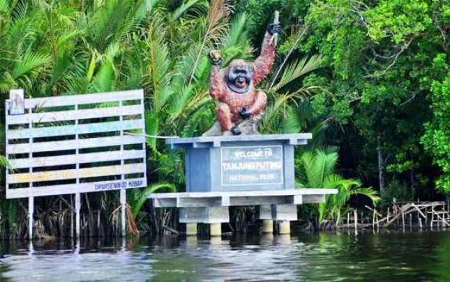 Kunjungan Wisnus Lampaui Wisman di Taman Nasional Tanjung Puting 