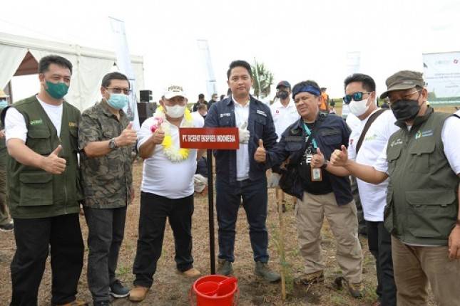 Keren! Cegah Tsunami, Sicepat Tanam Puluhan Ribu Pohon di Pantai Pangandaran