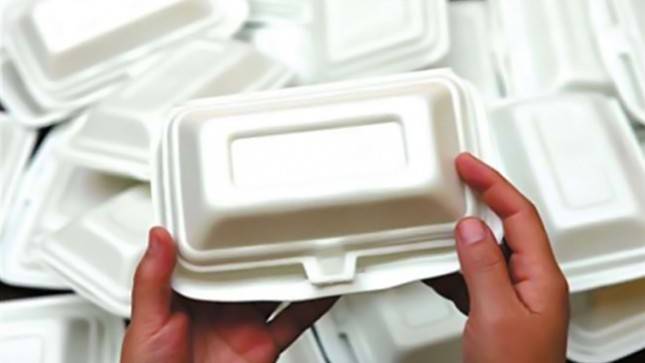 Duh, Akibat Pandemi Sampah Styrofoam di Bali Meningkat, Bagaimana Cara Mengatasinya?