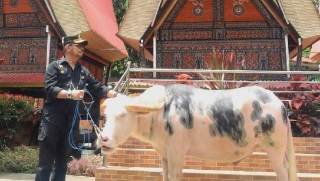 Mentan SYL: Toraja Adalah Aset Dunia