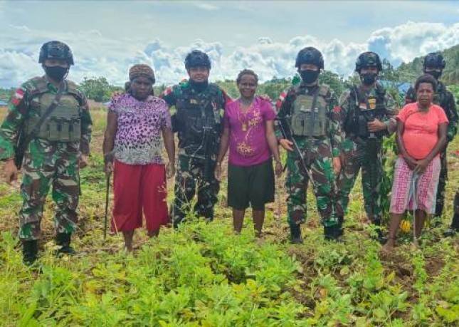 Satgas Kodim Yalimo Yonif RK 751/VJS Panen Kacang Tanah Bersama Warga Perbatasan 