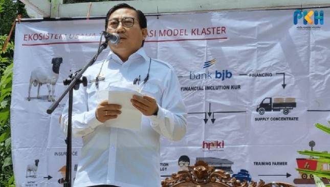 Gandeng HPDKI, Kementan Optimalkan pengembangan ternak kambing/domba