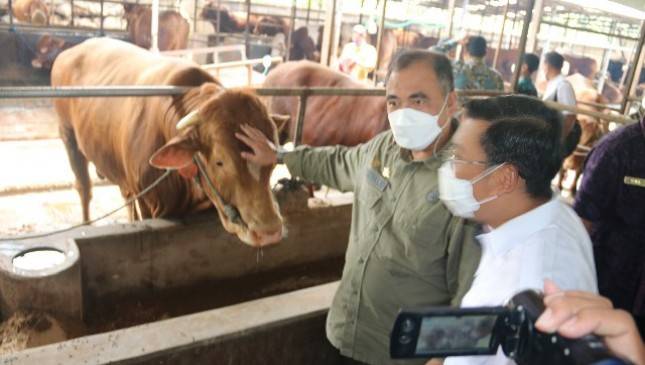 Peternak Jatim Pastikan Stok Aman