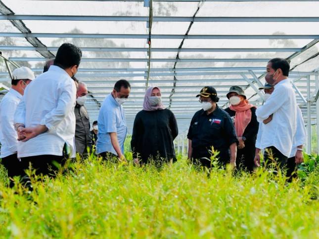 Tinjau Persemaian Mentawir, Presiden: Pembangunan IKN Diawali dengan Rehabilitasi Lahan