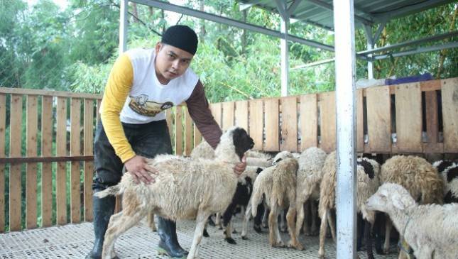 Jangan Tergiur Harga Aqiqah Murah