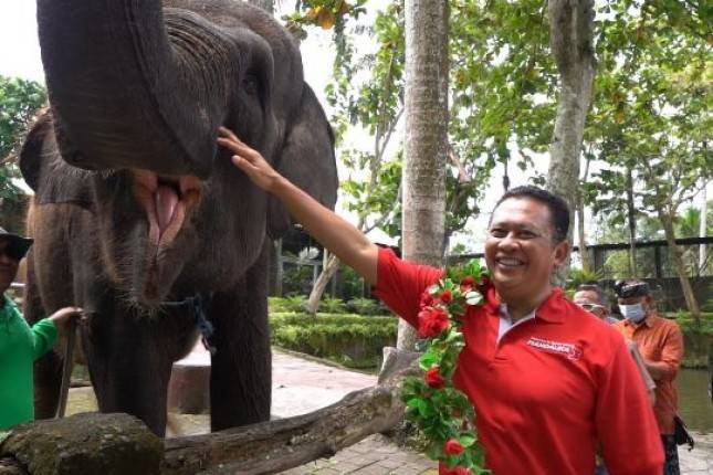Ketua MPR RI  Kunjungi Wisata Bakas Levi Rafting Elephant Tour di Klungkung Bali