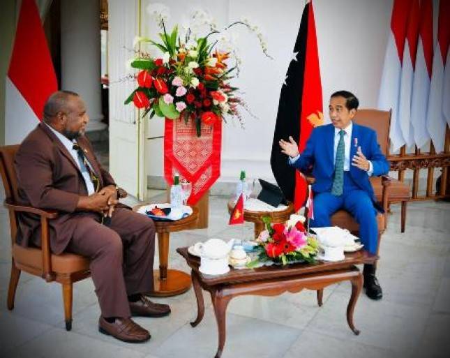 Presiden Jokowi dan PM Papua Nugini Lakukan Pembicaraan Bilateral di Istana Bogor