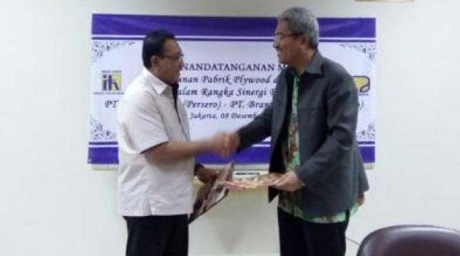 Kembangkan Ekonomi Daerah, Kementrian BUMN Buka Pabrik Plywood di Bondowoso