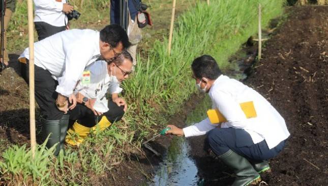 Antisipasi Kemarau 2022, Kementan Dorong Gerakan Panen Air