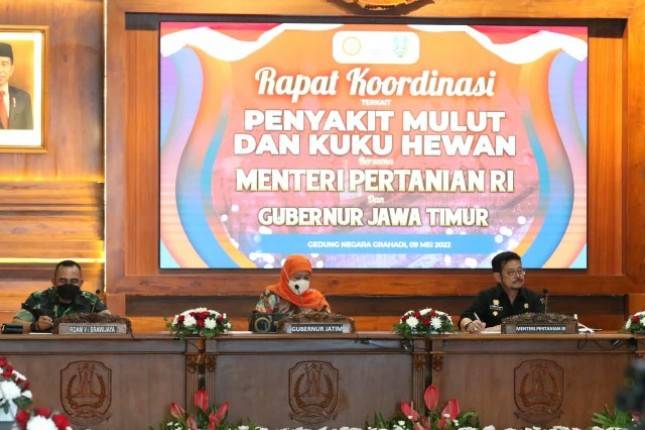 Mentan: PMK Tidak Menular ke Manusia dan Kementan Siapkan Strategi Pemberantasan