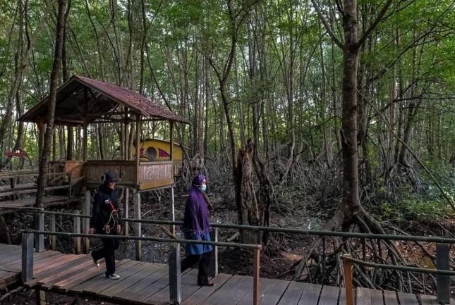 Desa Wisata Kampung Tua Bakau Serip Bisa Jadi Destinasi Ekowisata Pilihan di Batam