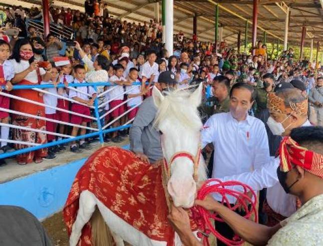 Presiden Jokowi Menonton Pacuan Kuda di Sumba Timur