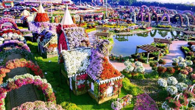 Dubai Miracle Garden, Taman yang Terletak di Tengah Padang Pasir