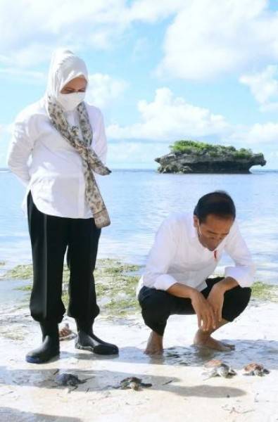 Pesan Presiden Jokowi di Wakatobi: Jaga Terumbu Karang