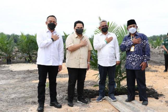 PTPN V Asistensi Ratusan Petani Mitra Sertifikasi ISPO-RSPO