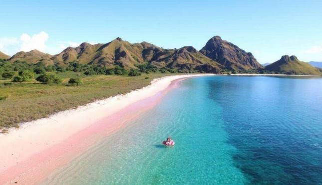8 Pantai Pink Unik nan Indah di Dunia, 2 di Antaranya di Indonesia