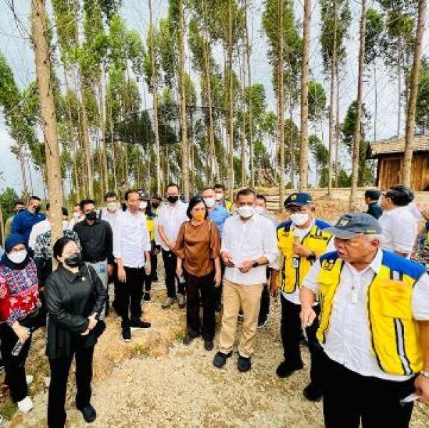 Presiden Jokowi Optimistis Pembangunan IKN Berjalan Lancar