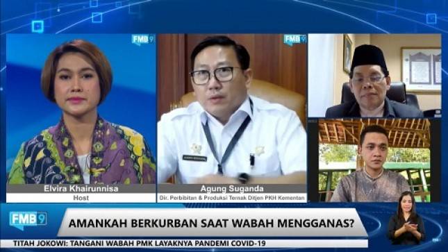 Wabah PMK Merebak Kurban Iduladha Tahun Ini Aman