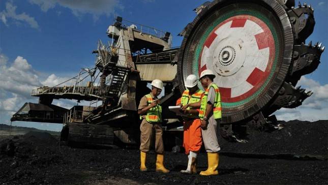 Harga Batubara Menguat, Laba PTBA Tembus Rp2,65 Triliun di Semester I-2026