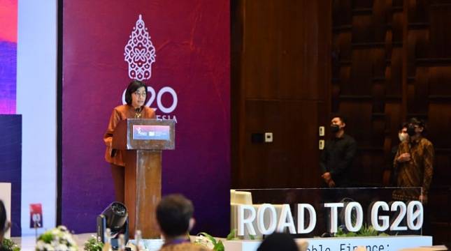 Sri Mulyani dan Menkeu Brasil Sepakat Dukung Agenda Kesehatan dan Keuangan Berkelanjutan Global