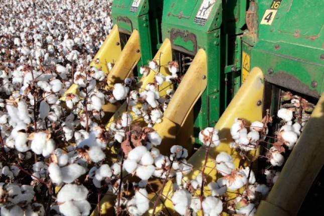 Cotton Brazil Rangkul  Industri Tekstil Indonesia, Dukung Pasokan Bahan Baku yang Berkelanjutan
