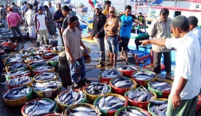  Kabar Gembira bagi Orang NTT! Menteri Trenggono Siapkan 3 Program Strategis untuk Kembangkan Sektor Perikanan NTT