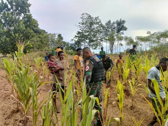 Personel Satgas Yonif 126 KC Berkebun Bersama Masyarakat Perbatasan Papua