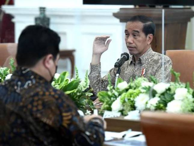 Presiden Jokowi Minta Jajarannya Siapkan Peta Jalan Produksi dan Hilirisasi Sorgum