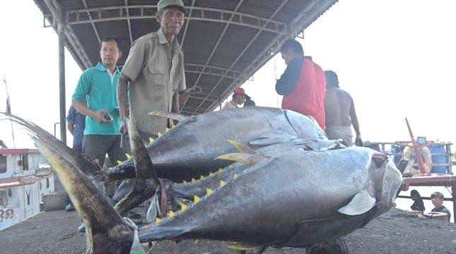 Kembangkan Tempat Pelelangan Ikan, Dinas Perikanan dan Kelautan Anggarkan Rp30 Miliar
