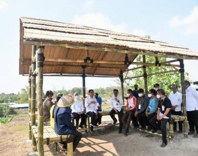Presiden Jokowi Ingatkan Petani Rawat Kelapa Genjah