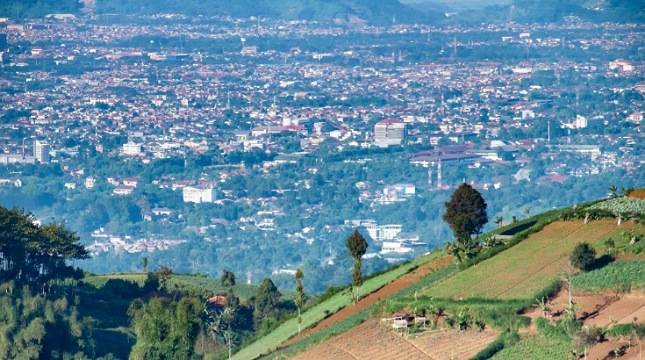 Bukit Moko Bandung, Tempat Berburu Sunrise hingga Jelajah Hutan Pinus