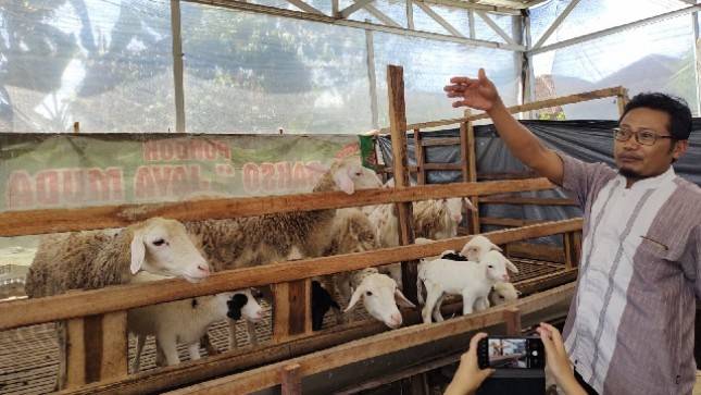  Gandeng Perbankan Fasilitasi KUR untuk Usaha Pembibitan dan Budidaya Ternak 