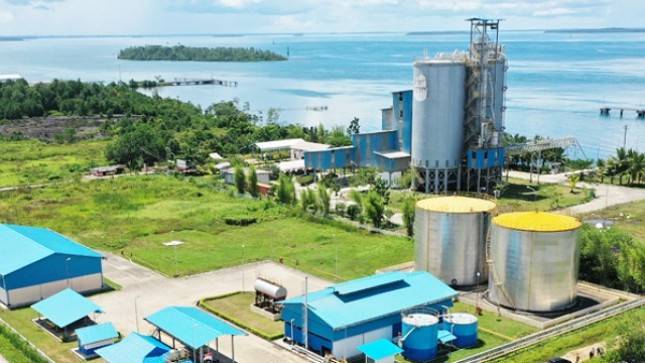 Perusahaan Asal China Tanam Investasi Rp725 Miliar di Sorong, Papua Barat