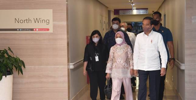 Kabar Bahagia, Presiden Jokowi dan Ibu Iriana Sambut Kelahiran Cucu Kelima