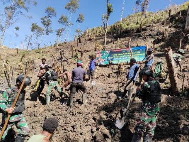Satgas Yonif Mekanis 203 AK Buka Lahan Untuk Berkebun Bersama Masyarakat Desa Balime Distrik Balingga