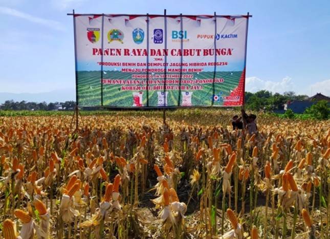 PT Pupuk Kaltim Hadirkan Ragam Produk Unggulan, Sukseskan Ponorogo Mandiri Benih