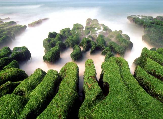 Jelajah Keindahan Taiwan Melalui Kawasan Pemandangan Nasional, Ini 7 Area yang Wajib Dikunjungi