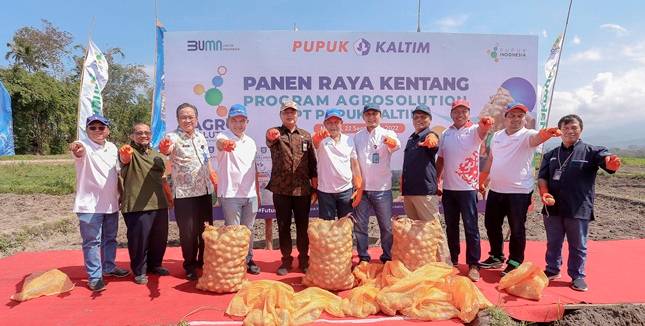 Panen Kedua Agrosolution Pupuk Kaltim, Produktivitas Kentang Kabupaten Malang Capai 33,9 Ton/Ha