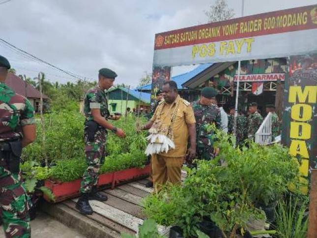 Yonif Raider 600 Modang Asmat Papua Budidaya Tanaman di Penugasan
