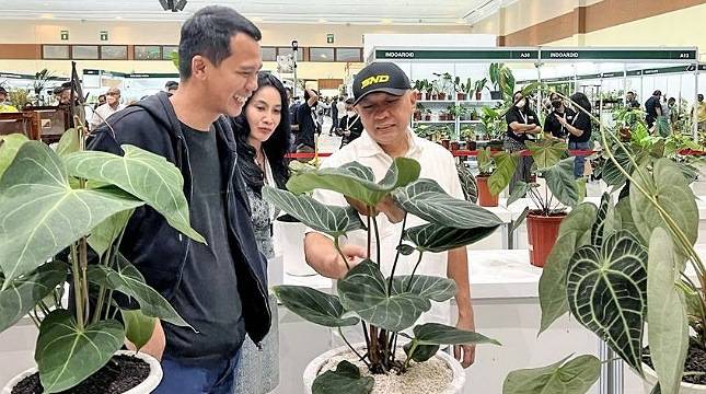 Menteri Teten Siap Bawa Indonesia Kuasai Pasar Tanaman Hias