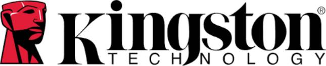 Kingston Technology Unggul dalam Pengiriman SSD pada 2021