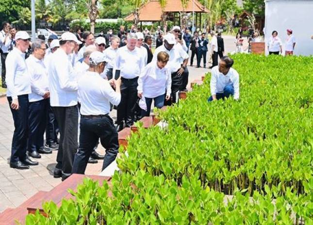 Pesiden Jokowi  dan Para Pemimpin Negara G20 Tanam Pohon Mangrove di Tahura